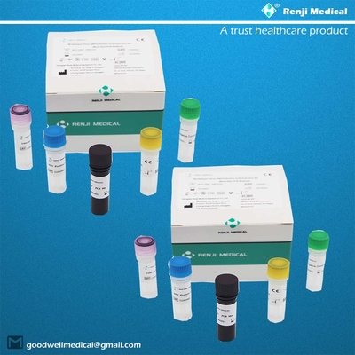 Virus Monkeypox(MPV) Kit Deteksi Asam Nukleat Kit Rumah Tes Cepat Kit PCR Waktu Nyata