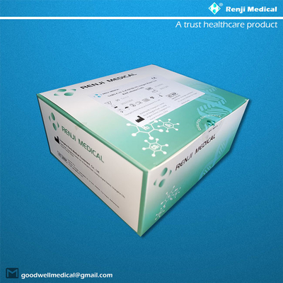 Beranda Kit Pengujian Cepat COVID 19 Sertifikasi EO Sterilisasi SGS ISO13485
