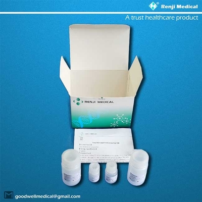 50 tes Kit Ekstraksi Asam Nukleat Teknologi Membran Berbasis Silika