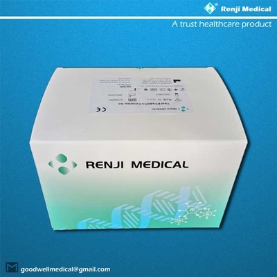 Kit Ekstraksi Asam Nukleat Renji, Kit Pemurnian Magnetic Bead Viral Rna