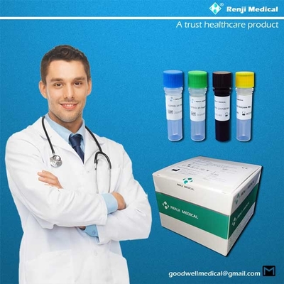 95% Sensitivitas Kit Pengujian Asam Nukleat, Kit Deteksi Rt Pcr 40-90 menit