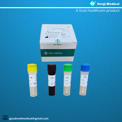 Novel Coronavirus COVID-19 Kit Pengujian Asam Nukleat CE Kualitatif Rt Pcr Test
